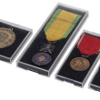 SAFE Karp medalile - 8101 SUUR